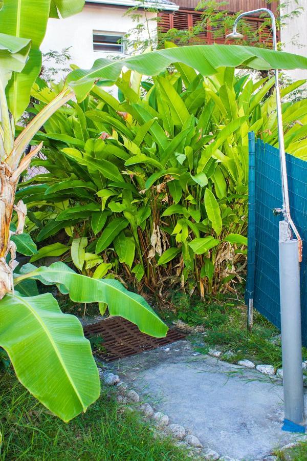 Appartement D'une Avec Piscine Partagee Jardin Et Wifi A Anne A 3 Km De La *